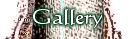 The Mystic Eye Tarot and More navigation picture of alchemical type image of hand with eyeball
